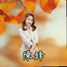 陈锋